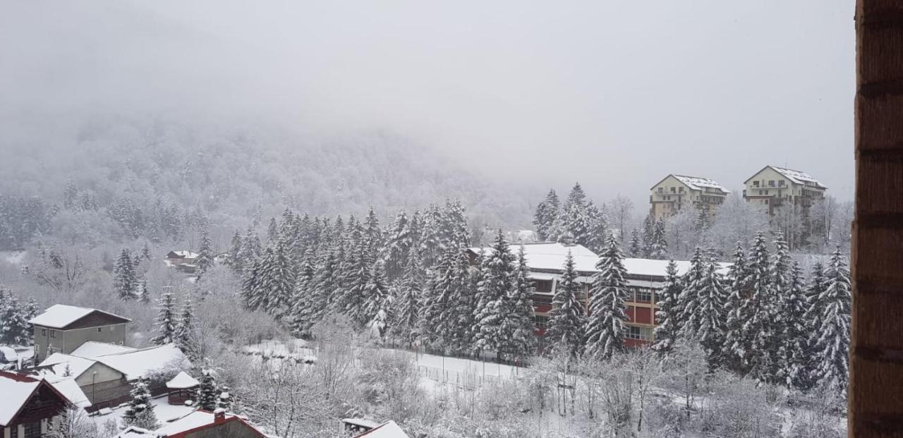 Elite Apartments Sinaia Exterior photo