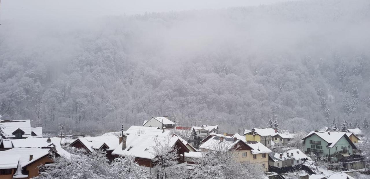 Elite Apartments Sinaia Exterior photo